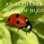 Bugs Alphabet Book